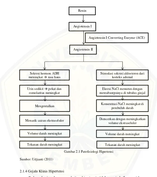 Gambar 2.1 Patofisiologi Hipertensi 