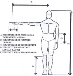 Gambar 2.2 Ilustrasi seseorang dengan persentil tinggi badan ke-50 mungkin saja memiliki persentil ke-55 untuk jangkauan 