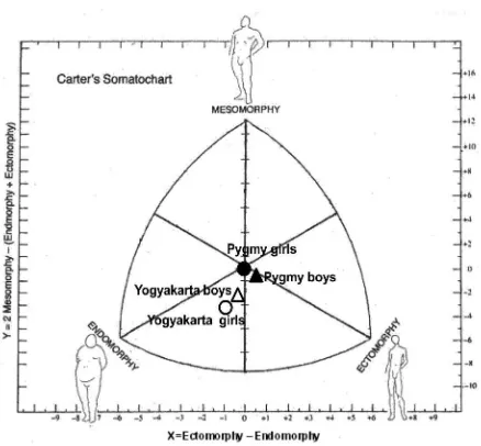 FIGURE 2. Mean somatotypes of Pygmy and Yogyakarta children.