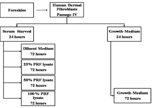 FIGURE 1. Experiment Scheme
