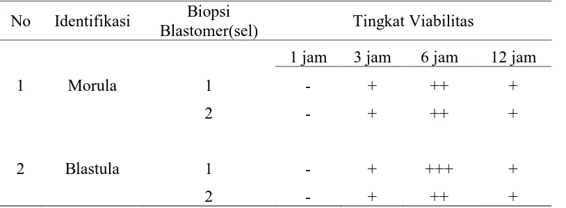 Tabel 1. Viabilitas Embrio Sapi Pesisir Setelah Biopsi 