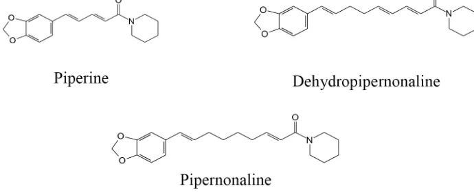 FIGURE 1. Piperidine alkaloids isolated from P. retrofractum Vahl