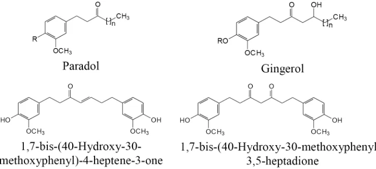 FIGURE 7.  Oligomeric proanthocyanidin and polymeric proanthocyanidin isolated from G