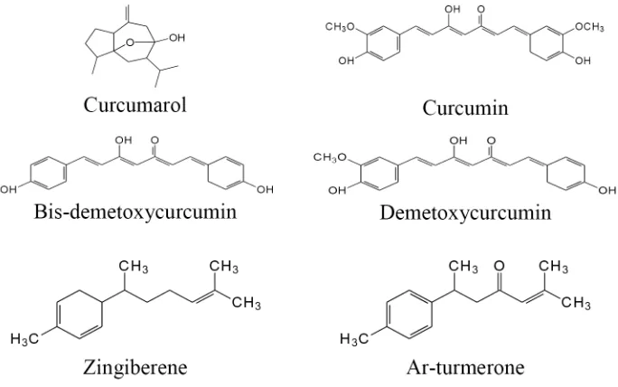 FIGURE 9. Some active compounds of Curcuma domestica
