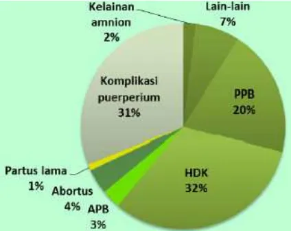Gambar 2.1 Penyebab kematian ibu di Indonesia tahun 2010 (Sumber: Ditjen Bina Gizi dan KIA, Kemenkes RI, Hasil Analisis Lanjut Sensus Penduduk Tahun 2010) 