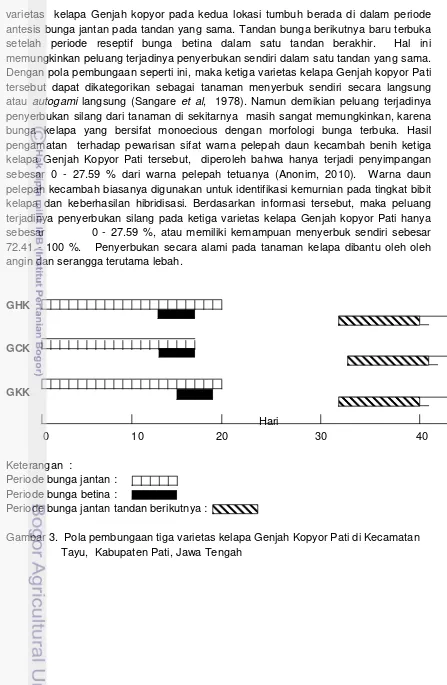 Gambar 3.  Pola pembungaan tiga varietas kelapa Genjah Kopyor Pati di Kecamatan  