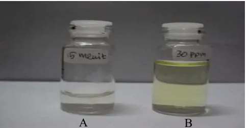 Gambar 7. Proses Adsorpsi Zat Warna Remazol Yellow FG  Sebelum (B) Dan Sesudah (A) Pada Kondisi Variasi Waktu Kontak Optimum