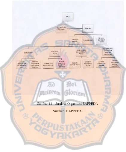 Gambar 4.1 : Struktur Organisasi BAPPEDA 