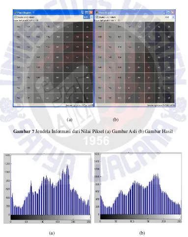 Gambar 7 Jendela Informasi dari Nilai Piksel (a) Gambar Asli (b) Gambar Hasil
