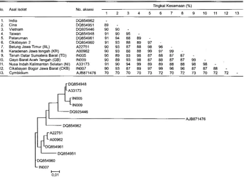 Tabel 2. Tingkat kesamaan sekuen DNA gen CP-ChiVMV antara isolat-isolat Indonesia dan beberapa negara Asia lainnya