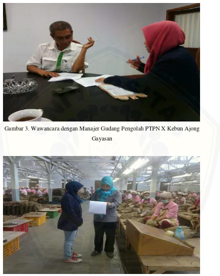 Gambar 3. Wawancara dengan Manajer Gudang Pengolah PTPN X Kebun Ajong 