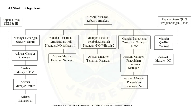 Gambar 4.1 Struktur Organisasi PTPN X Kebun Ajong Gayasan