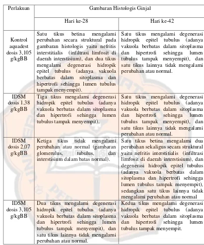 Gambaran Histologis Ginjal 