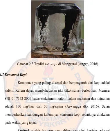 Gambar 2.3 Tradisi toto kopi di Manggarai (Anggo, 2016) 