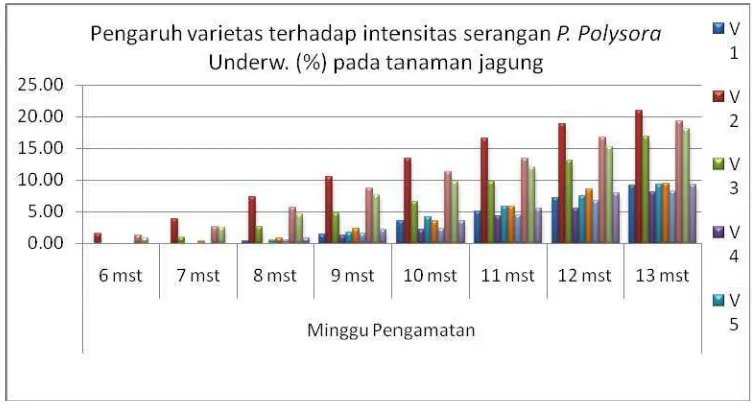 Tabel 2. Beda Uji Rataan  Pengaruh Varietas Terhadap Produksi Jagung  