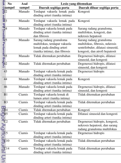 Tabel 1  Lesio pada hati Pteropus vampyrus dengan pewarnaan HE 
