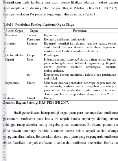 Tabel 1  Perubahan Patologi Anatomi Organ Singa 