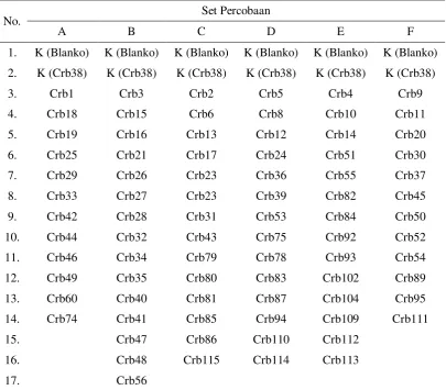 Tabel 2. Isolat-isolat Pseudomonas pada masing-masing set percobaan. 