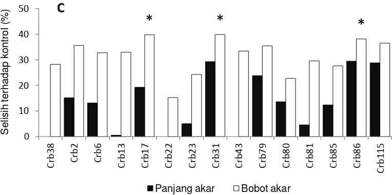 Gambar 12.  Pengaruh isolat Pseudomonas (Crb) terhadap pertambahan panjang dan bobot akar (%) tanaman kedelai umur 7 hari pada percobaan D