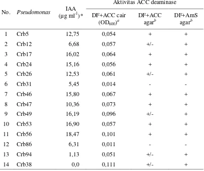 Tabel 3.  Aktivitas ACC deaminase pada media garam minimal Dworkin-Foster (DF) ditambah amonium sulfat dan ACC sebagai sumber N