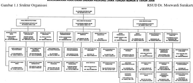 Gambar 1.1 Sruktur Organisasi 