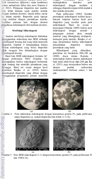 Gambar 4   Foto mikroskop mikrokapsul dengan konsentrasi gelatin 2% pada perbesaran 40 : 