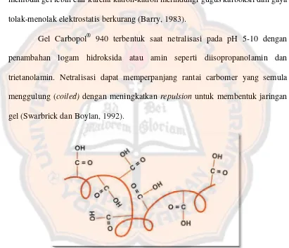 Gambar 2. Bentuk Molekul Carbopol Sebelum Dinetralisasi ( Coiled State) (Lubrizol, 2009) 