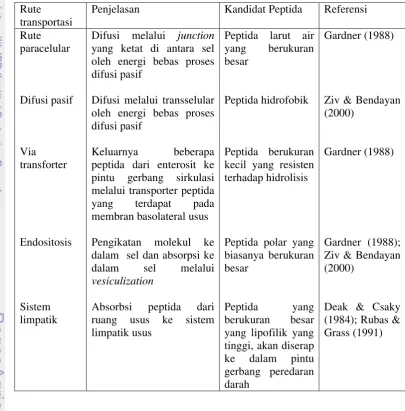 Tabel 4.  Rute pada absorbsi peptida