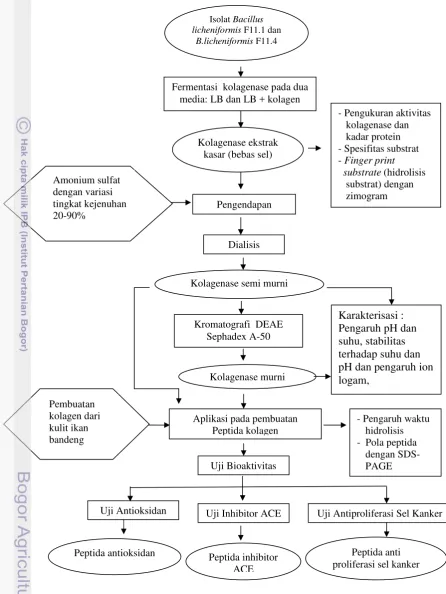 Gambar 7. Diagram Alir Penelitian