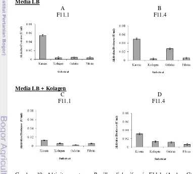 Gambar 10. Aktivitas protease Bacillus licheniformis F11.1 (A dan C) danBacillus licheniformis F11.4 (B dan D) yang diproduksi dari duatipe media: LB (A dan B) dan LB + kolagen (C dan D) padaberbagai substrat.