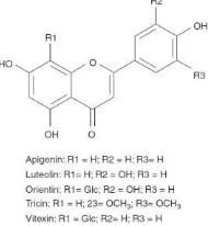 Gambar 2. Struktur flavonoid jewawut (Dykes & Rooney, 2006) 