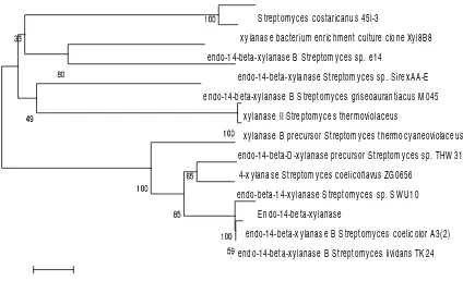 Figure 2����. Phylogenetic tree based on comparison of amino acid sequences from several strains of Streptomycesproducing family 11 endoxylanase using Neighbor Joining methods with 1000x Bootstrap replications.