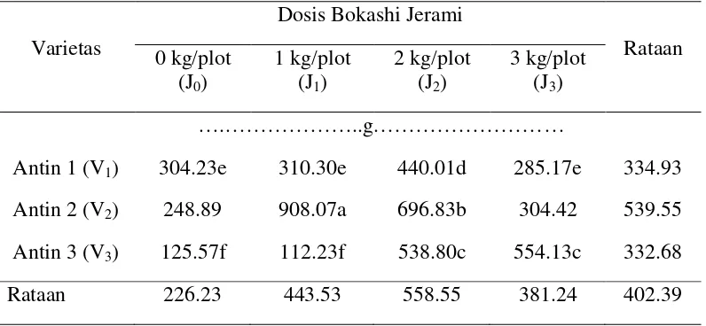 Tabel 6. Bobot umbi per plot dengan perlakuan varietas dan pemberian berbagai dosis bokashi jerami padi 