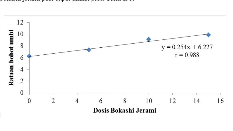 Gambar hubungan rataan bobot umbi per plot dengan pemberian dosis 
