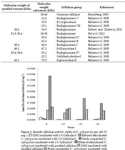 Tabel 2. The molecular weight of puriﬁ ed cellulase.