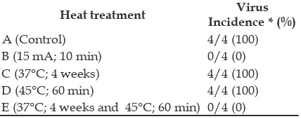 Table 1. Virus incidence in shallot plantlets subjected to heat treatment.