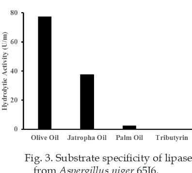 Fig. 4. Stability of lipase from Aspergillus niger 65I6 in various organic solvents.