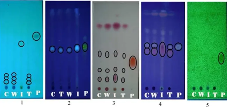 Table 3. The IC50 values of ethanolic extract of rice bran on HepG2, Raji, and Vero cells.