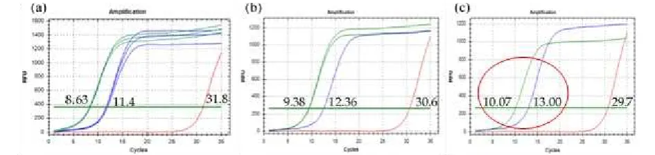 Figure 2. Optimization 2. qPCR result for exon 9 (blue) and E545A (green). (a) annealing temperature of 63°C; (b)annealing temperature of 64.3°C; and (c) annealing temperature of 65°C.