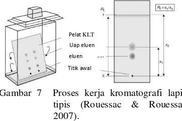 Gambar 6  Reaksi penangkapan radikal DPPH (Yamaguchi et al. 1998). 