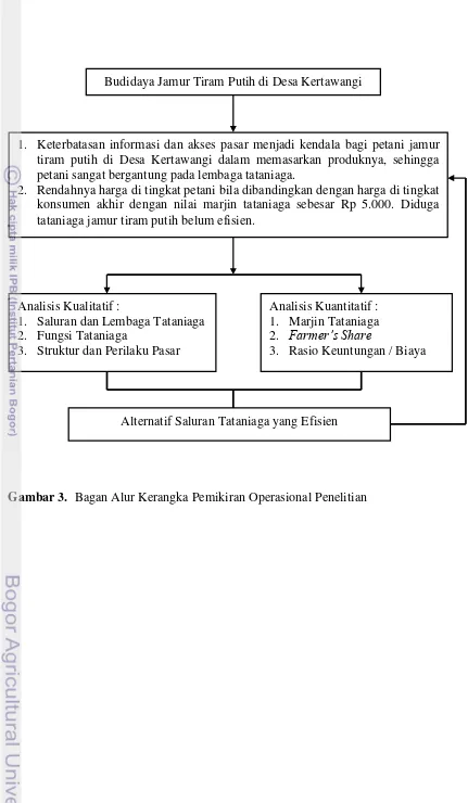 Gambar 3.  Bagan Alur Kerangka Pemikiran Operasional Penelitian 