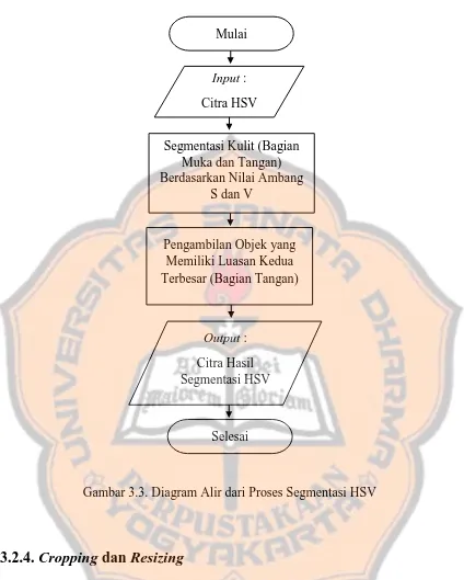 Gambar 3.3. Diagram Alir dari Proses Segmentasi HSV 