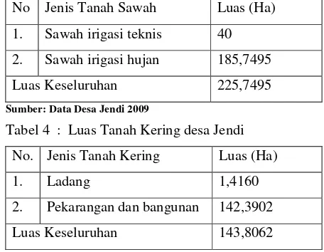 Tabel 4  :  Luas Tanah Kering desa Jendi 
