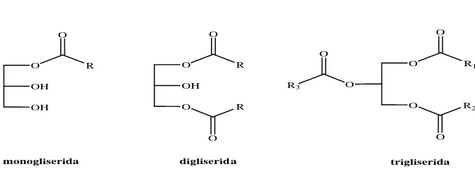 Gambar 3. Reaksi kondensasi asam lemak 