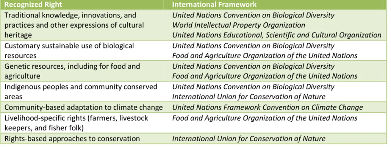 Table 2: Indigenous peoples' and local communities' rights in international environmental law and policy 
