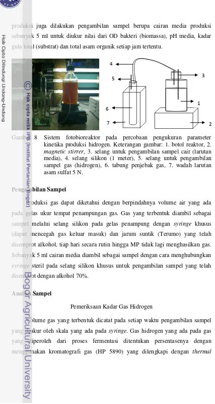 Gambar  8  Sistem fotobioreaktor pada percobaan pengukuran parameter 