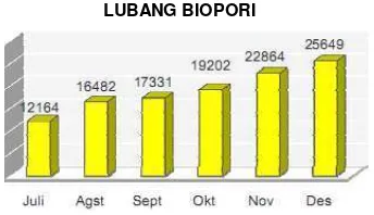 Gambar 8. Jumlah Lubang Biopori pada Tahun 2009 (sumber: JGCReport Unilever Indonesia, 2009)