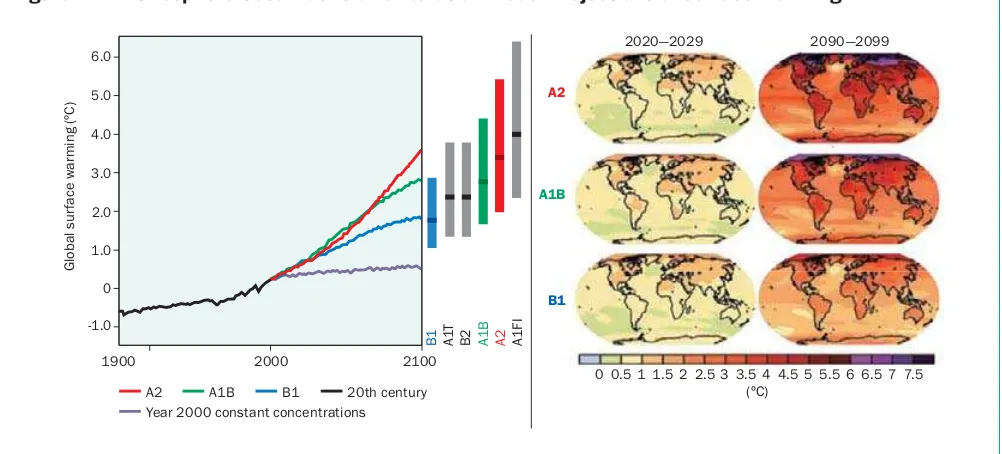 Figure 1.1.  Atmosphere-Ocean General Circulation Model Projections of Surface Warming