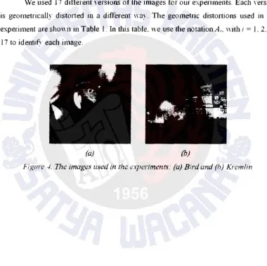 Figure -/.. The images used in the e.1periments: (a) Bird and (h) Kremlin 