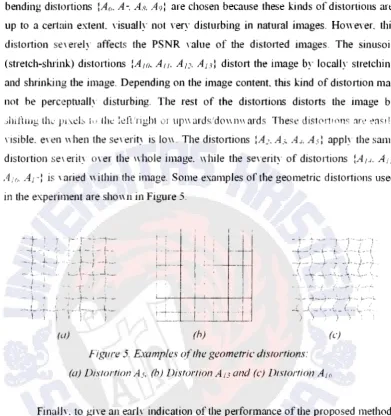 Figure 5. Examples o(lhe geometric distortions: 
